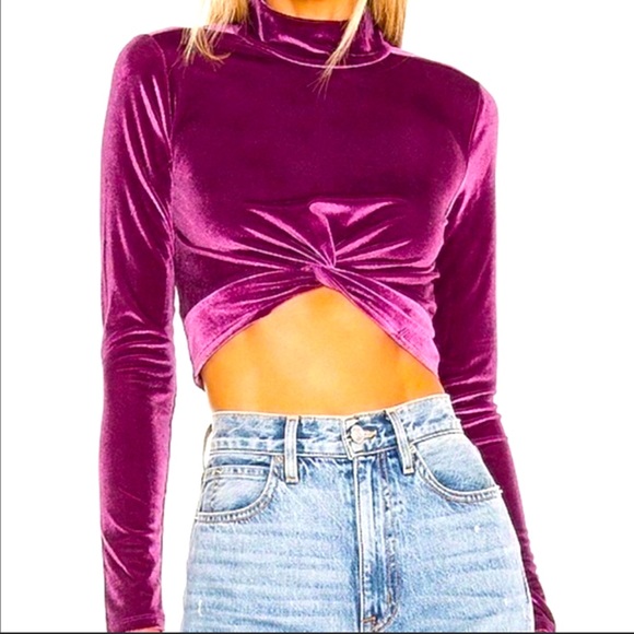 Lovers + Friends Tops - NEW Lovers + Friends Velvet Crop Top